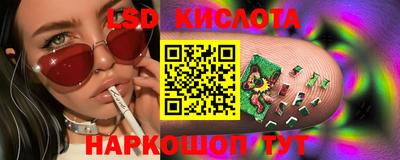 spice Баксан
