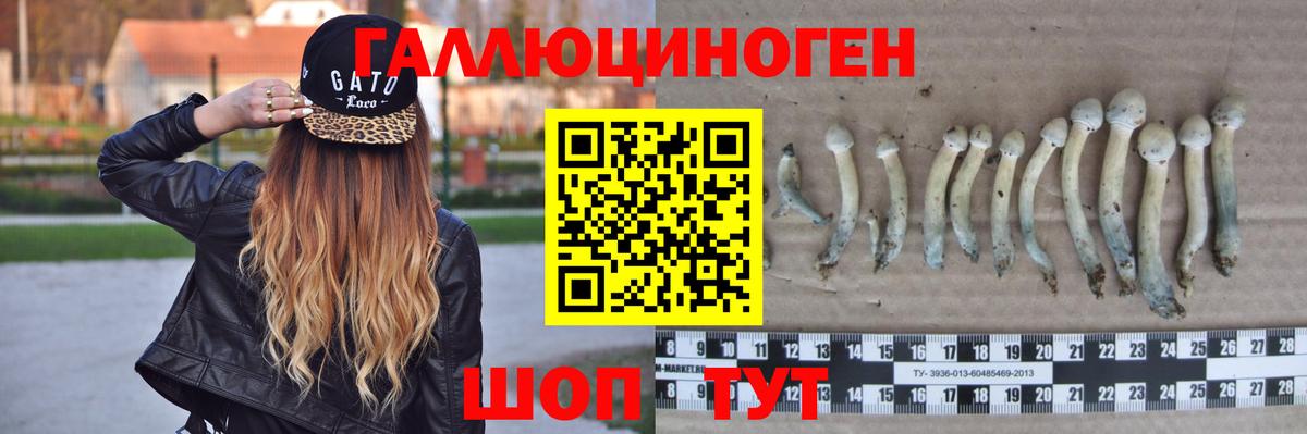 Псилоцибиновые грибы мухоморы Мончегорск